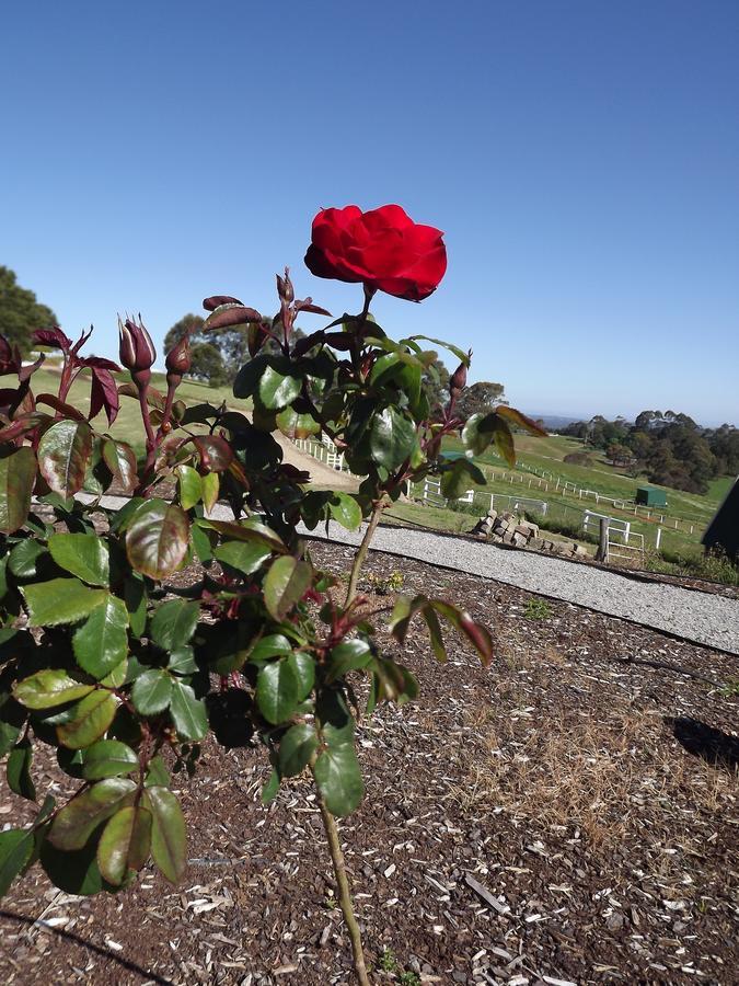 A Cottage With A View At Tudor Ridge Kallista Room photo